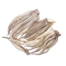 CIUFFI DI TOTANO ATLANTICO DECONGELATI